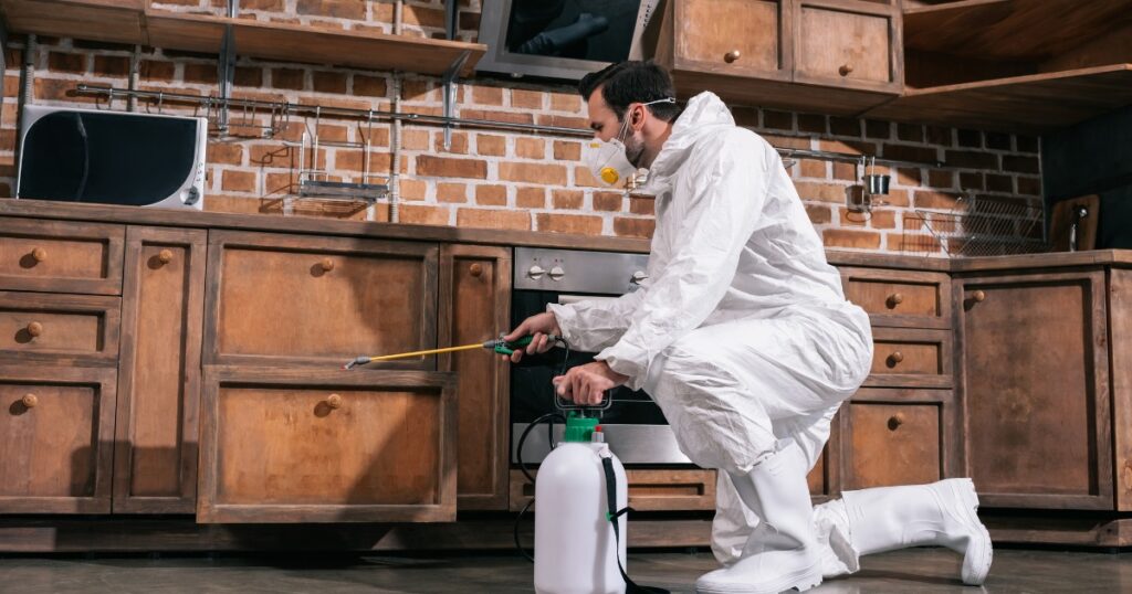 Professional Meth Cleaning Services NZ- KiwiMethXpert