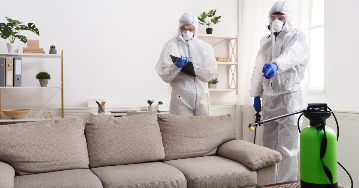 Meth Contamination in Homes | KiwiMethXpert