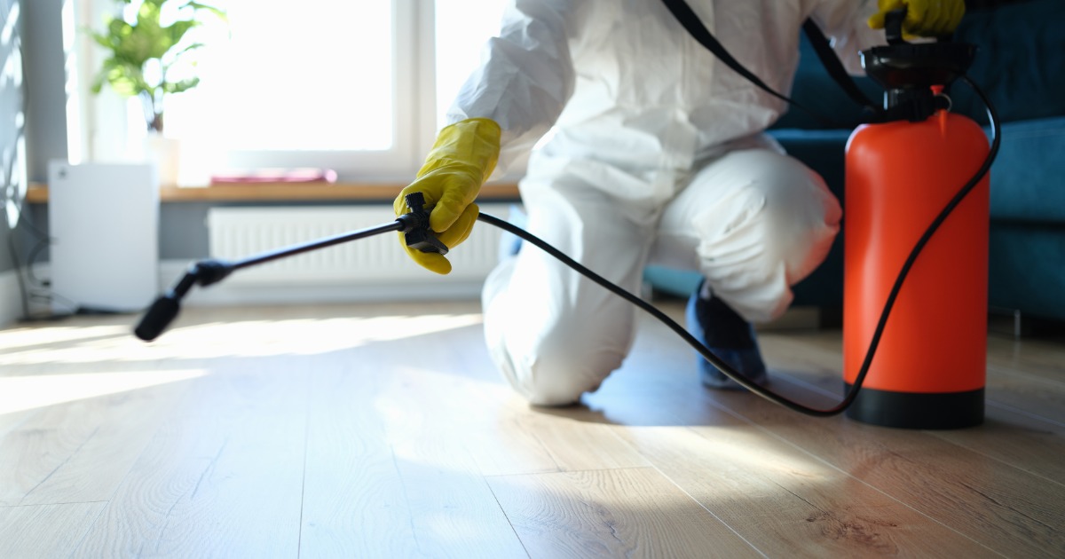 Meth Contamination Standards Explained | KiwiMethXpert