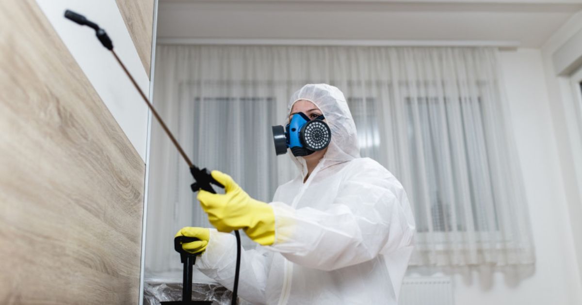 Why Professional Meth Decontamination is Crucial for NZ Properties