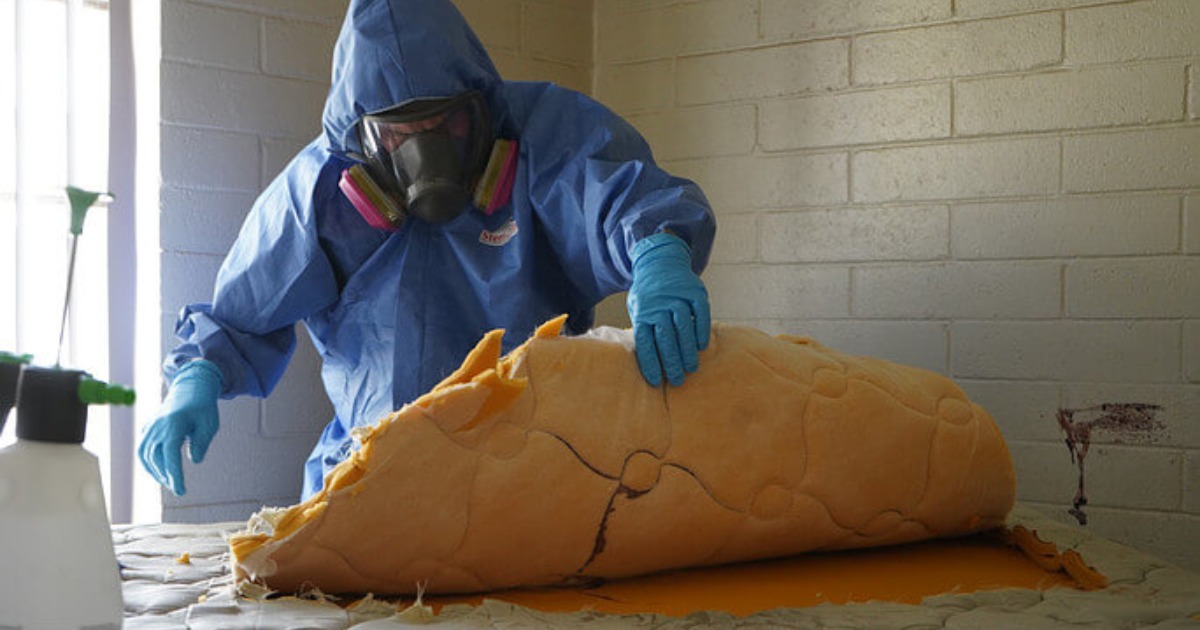 Professional removing a contaminated soft furnishing during meth contamination remediation.